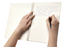 Spirax 811 A4 Recycled Notebook 240 Pages x Pack of 5 AO56801