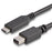 StarTech.com 6 ft. / 1.8 m USB-C to Mini DisplayPort Cable - 4K 60Hz - Black - USB 3.1 Type-C to Mini DP Adapter Cable - mDP Cable - 1.83 m Mini DisplayPort/USB A/V Cable for Chromebook, Monitor, iMac, Notebook, MacBook, TV - First End: 1 x 24-pin USB 3.1 IM4150588