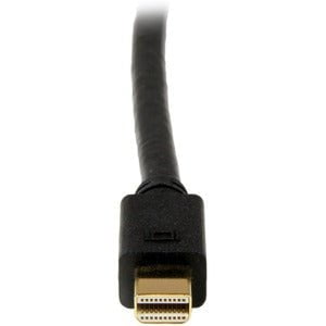 StarTech.com 6ft Mini DisplayPort to DVI Cable, Mini DP to DVI-D Adapter/Converter Cable, 1080p Video, mDP 1.2 to DVI Monitor/Display - 1.83 m DVI/Mini DisplayPort Video Cable for TV, Ultrabook, Projector, MacBook, Mac mini - First End: 1 x 20-pin Mini Di IM2465241