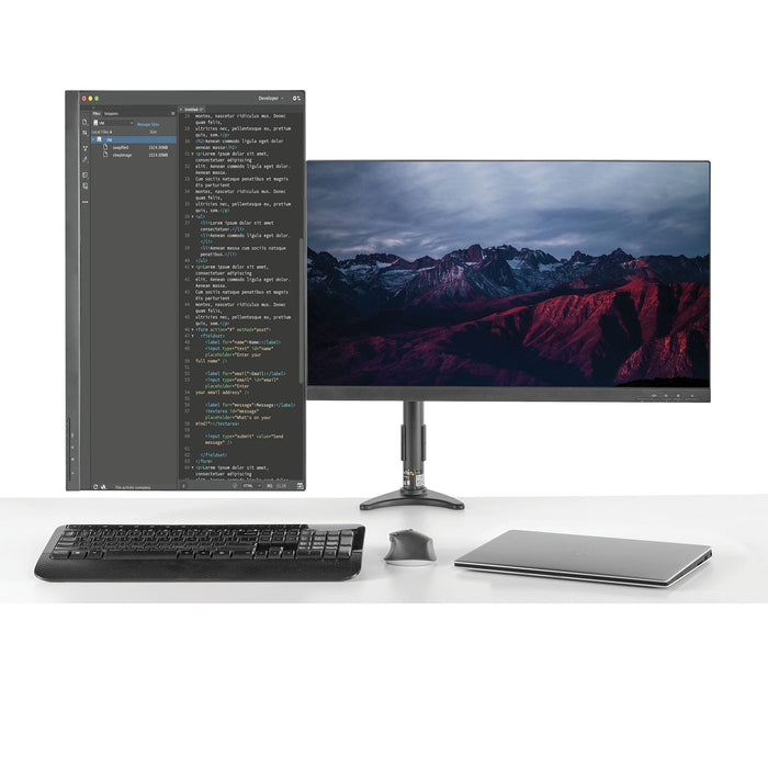 Startech.com Desk Mount Dual Monitor Arm, Articulating, Up To 24" Monitor DDARMDUAL