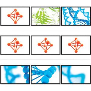 StarTech.com DisplayPort to HDMI Multi-Monitor Splitter - 3-Port MST Hub - 3840 × 2160 - 15.20 m Maximum Operating Distance - DisplayPort - 3 x HDMI Out - Plastic IM3063573