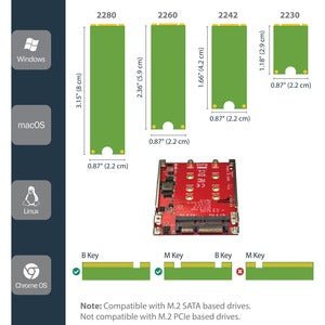 StarTech.com Dual-Slot M.2 Drive to SATA Adapter for 2.5" Drive Bay - RAID - Create high-performance storage with RAID by installing two M.2 SATA SSDs into a 2.5" SATA interface - M.2 Drive to SATA Adapter - Supports B key M.2 SATA SSDs - RAID 0, 1, spann IM4017379