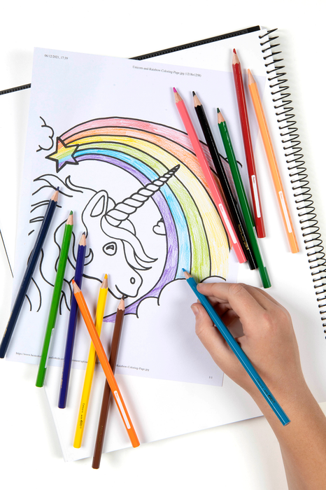 Texta Colour Pencil Full Height 12's AO0245810