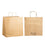 Twist Handle Paper Bag, Extra Large, Brown, 355mm x 230mm x 370mm, 120gsm x 150 pieces MPH24475