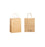 Twist Handle Paper Bag, Extra Small (XS), Brown, 205mm x 110mm x 275mm, 120gsm x 250 pieces MPH24455