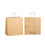 Twist Handle Paper Bag, Large, Brown, 320mm x 175mm x 345mm, 120gsm x 150 pieces MPH24470