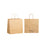 Twist Handle Paper Bag, Small, Brown, 280mm x 150mm x 280mm, 120gsm x 250 pieces MPH24460