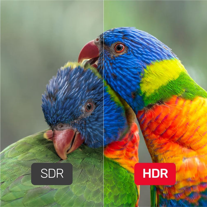 UNITEK 5m DisplayPort V1.4 Cable Supports up to 8K @60Hz, 4K @144Hz, 1440p @240Hz, 32.4Gbps Bandwidth, Latched Connectors, Flexible Cable, Gold Plated Connectors. Black. CDC1624BK-5M