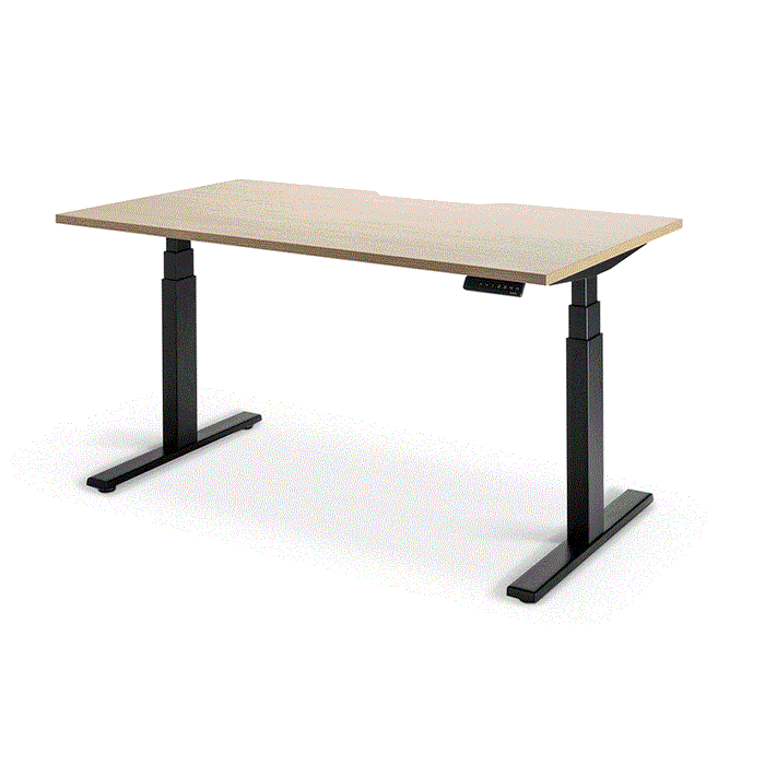 Enhance 1800mm x 800mm Electric Standing Desk – Black / Autumn Oak, Height Adjustable