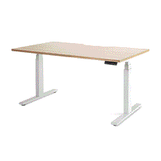 Enhance 1500mm x 800mm Electric Standing Desk – White / Autumn Oak, Height Adjustable