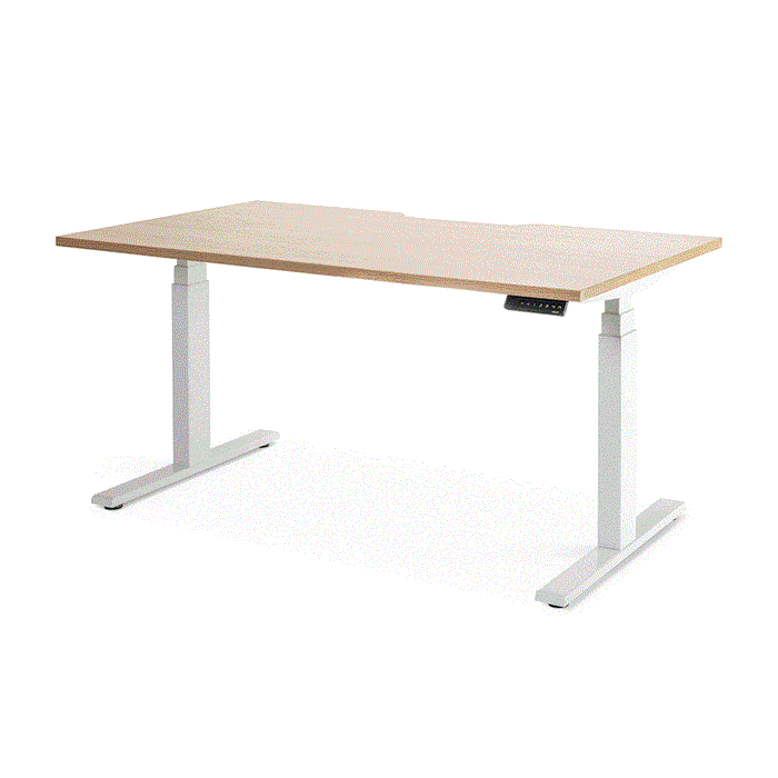 Enhance 1600mm x 800mm Electric Standing Desk – White / Autumn Oak, Height Adjustable